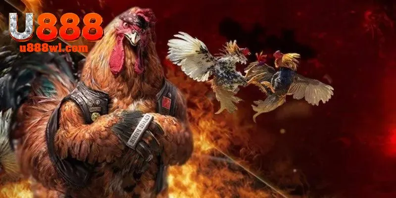 Những cửa cược đá gà thường xuất hiện