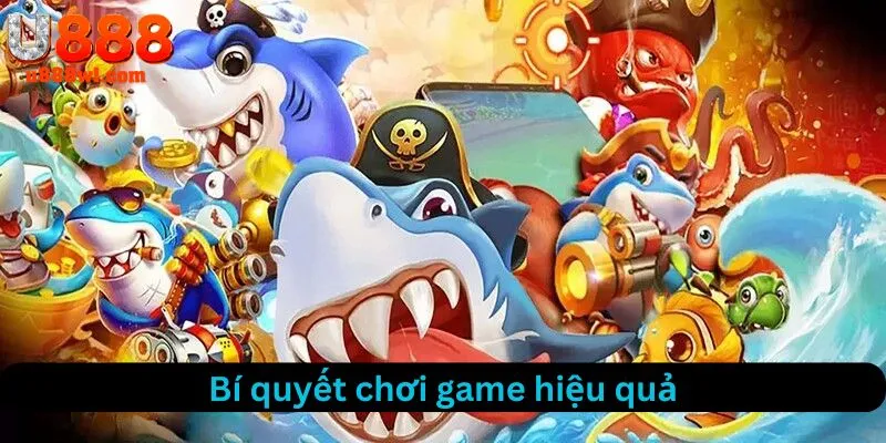 Bi quyết chơi bắn cá hiệu quả
