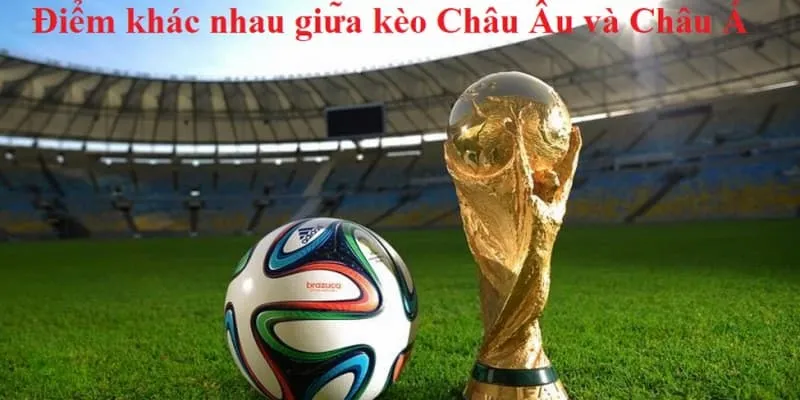 Hỏi đáp về cá độ kiểu 3 cửa châu Âu