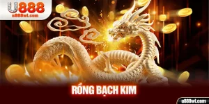 Rồng Bạch Kim